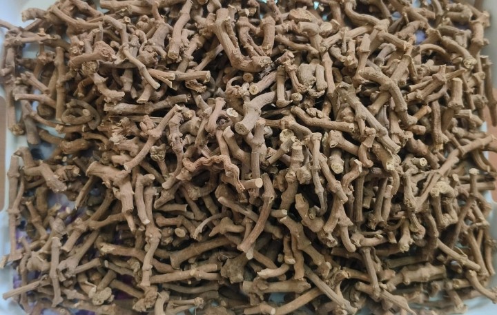 Premium Kanda Thippili (Long Pepper) Catkins